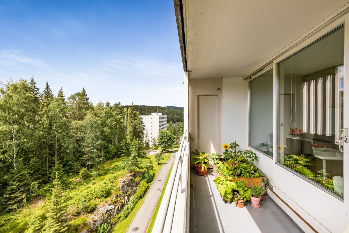Gode solforhold og uten innsyn! Galleribilde