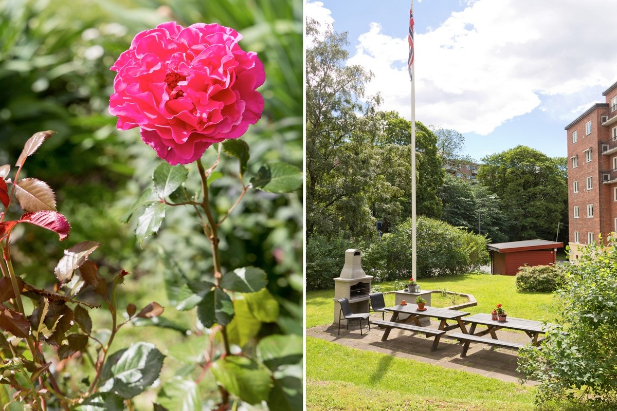 Båhusveien er en grønn oase midt i byen! Galleribilde
