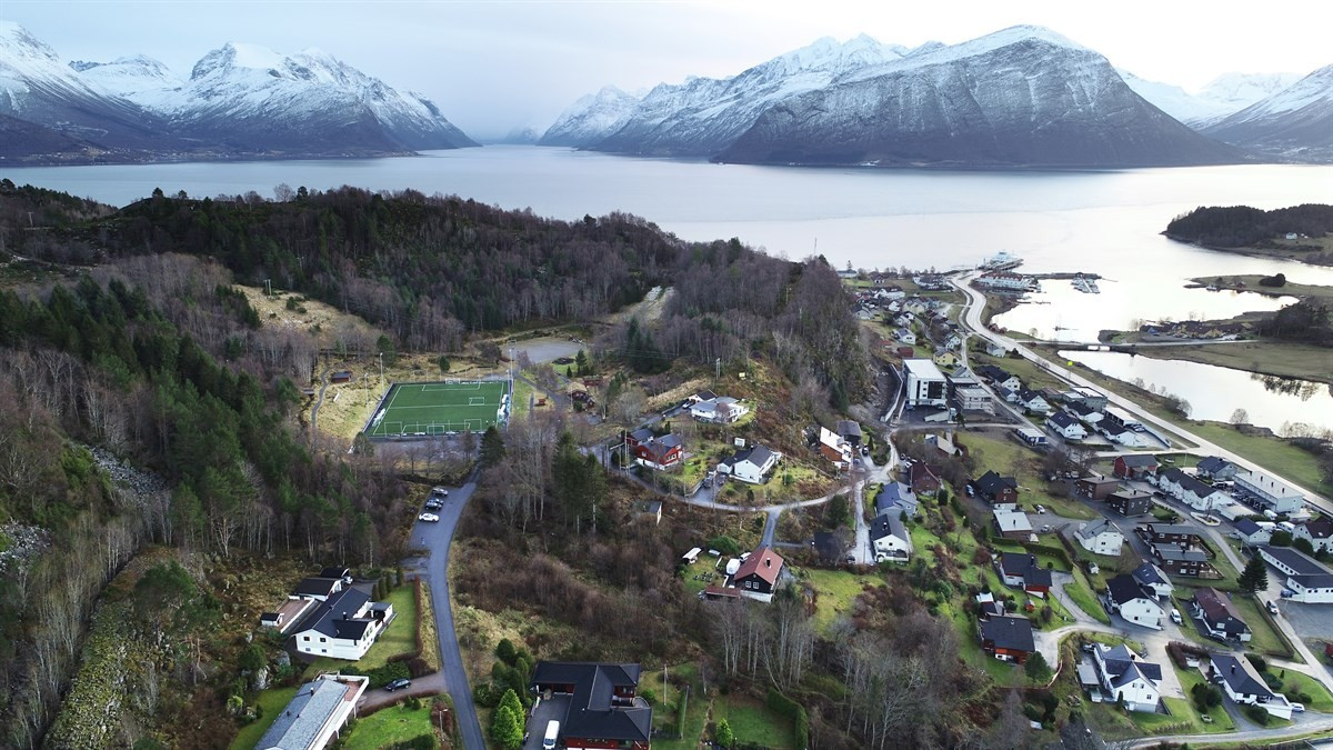 Boligtomtens nærmiljø