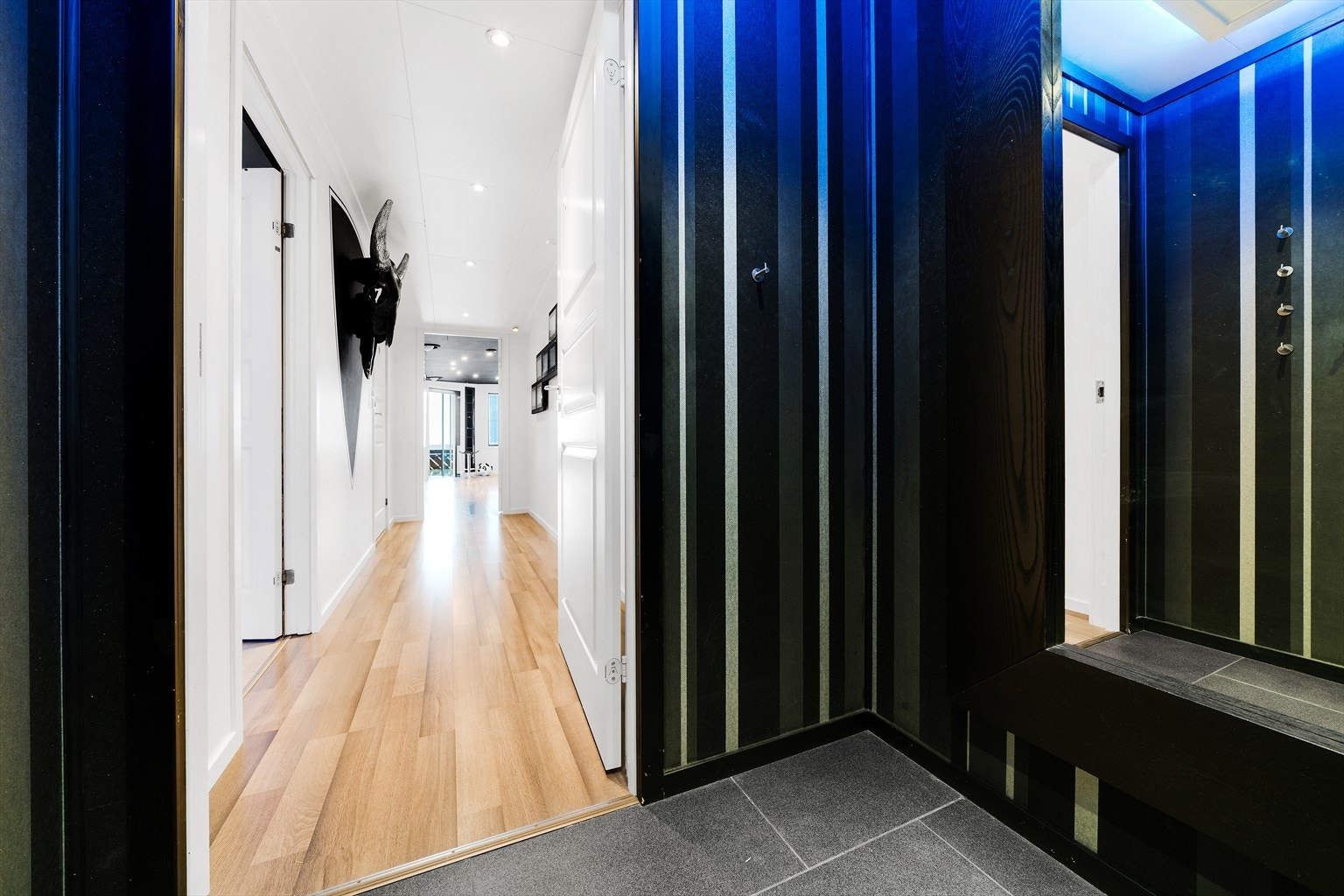 Velkommen inn Jhonny O! Galleribilde