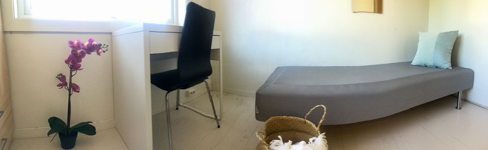 Rom 1, 5900,- Galleribilde
