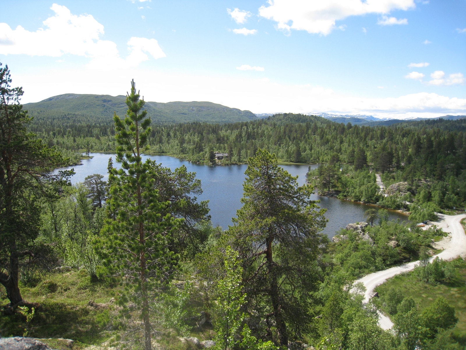 Utsikt frå hyttefelt mot vest Galleribilde
