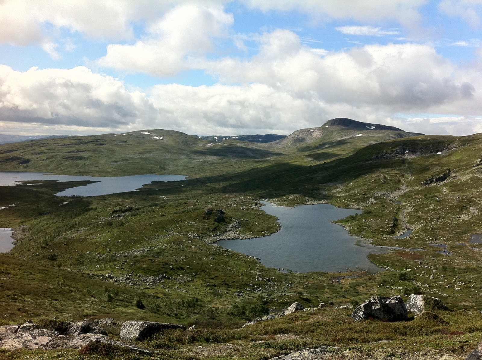 Sæsnuten sommar Galleribilde