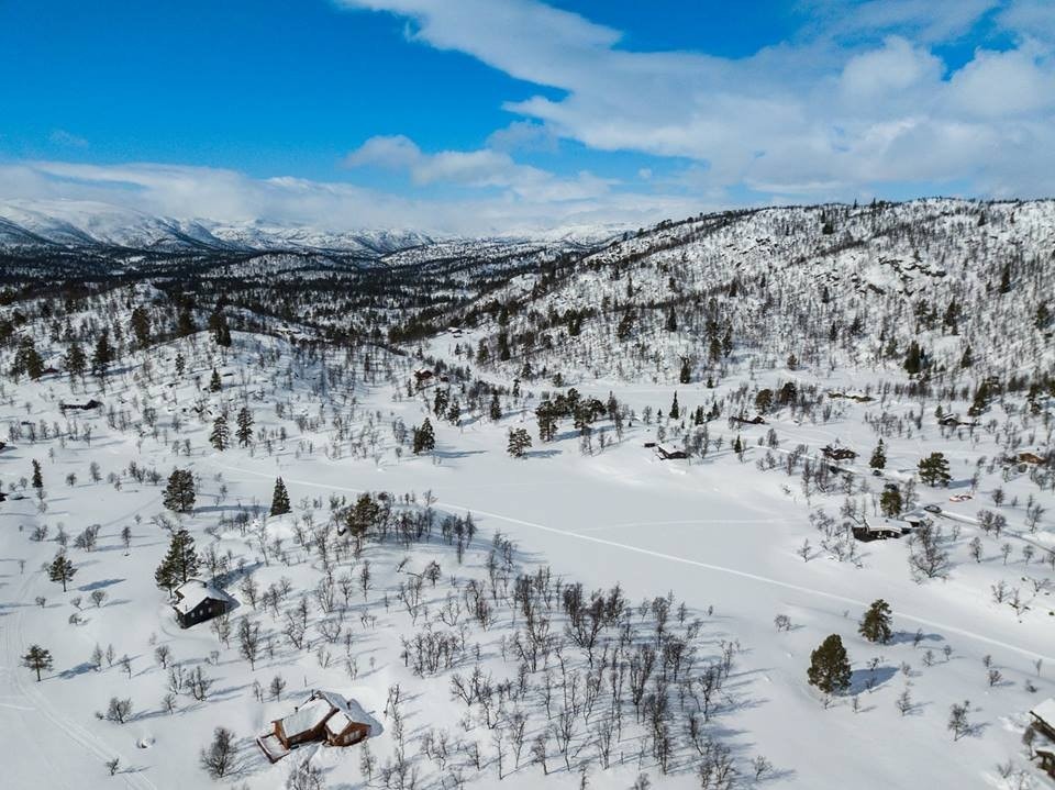 Vamark vinter Galleribilde