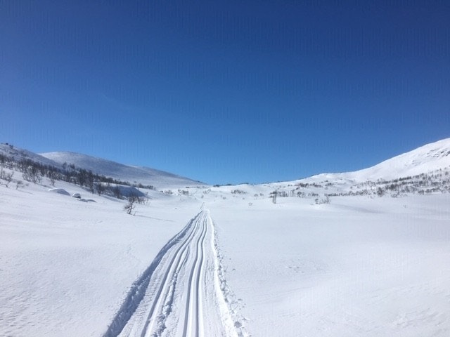 Skiløyper Vamark Galleribilde