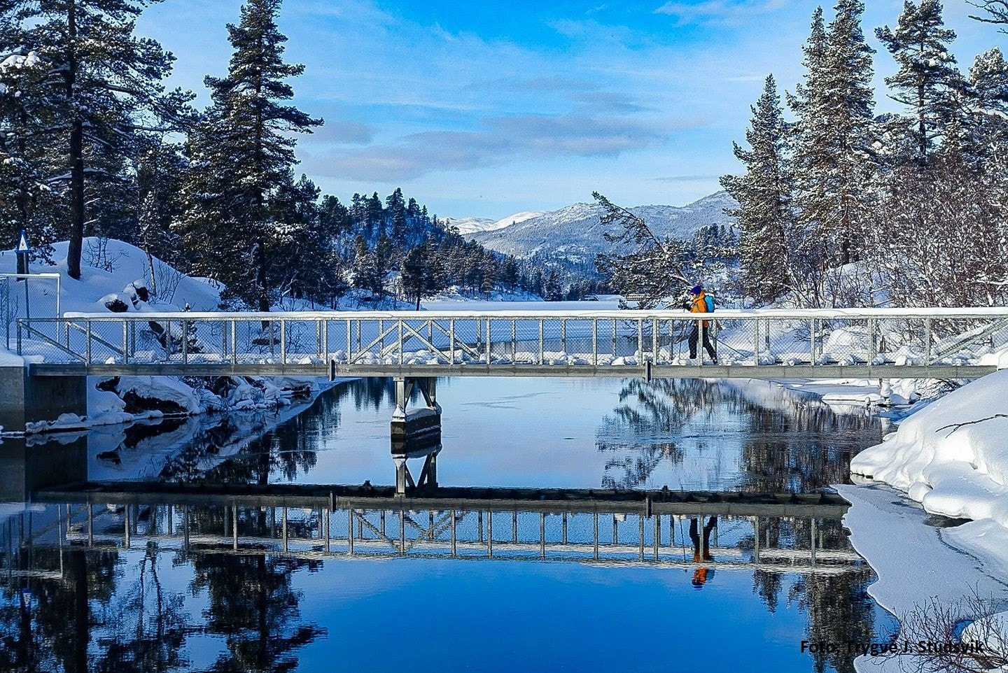 Vatjønn vinter Galleribilde