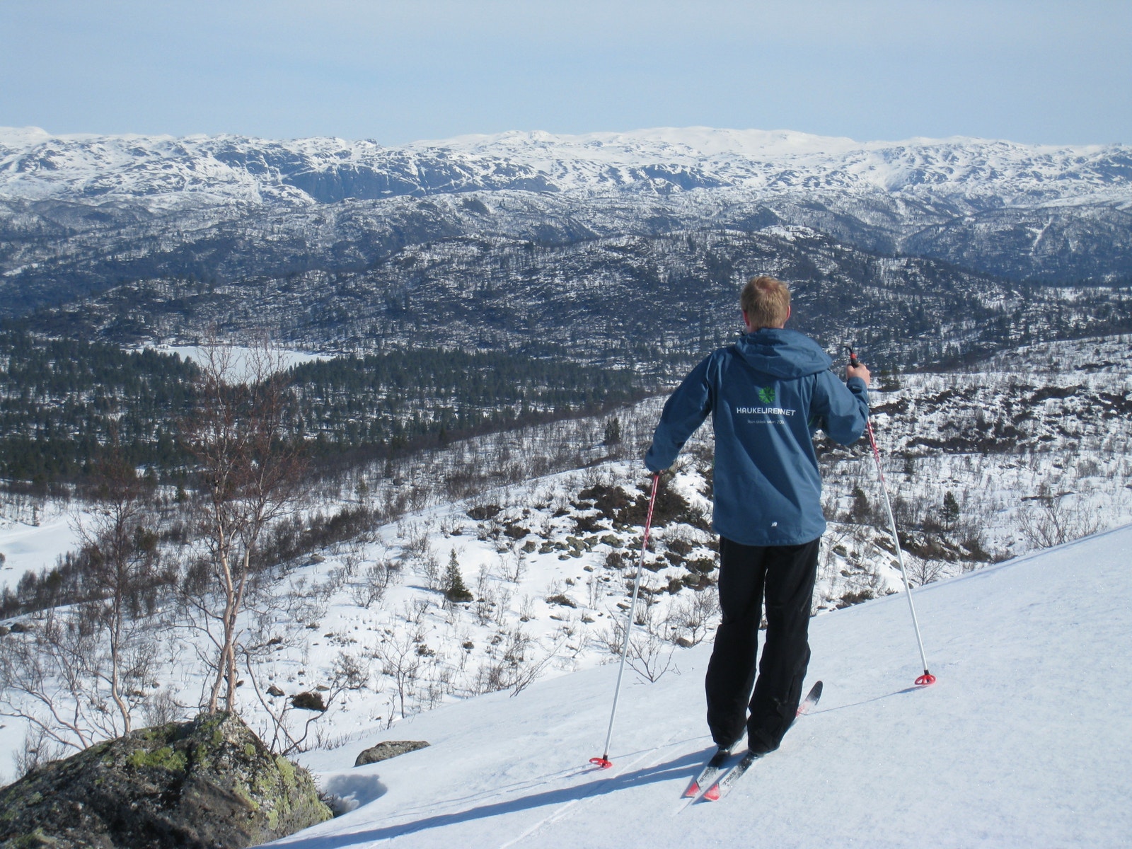 Vamark i bakgrunnen Galleribilde