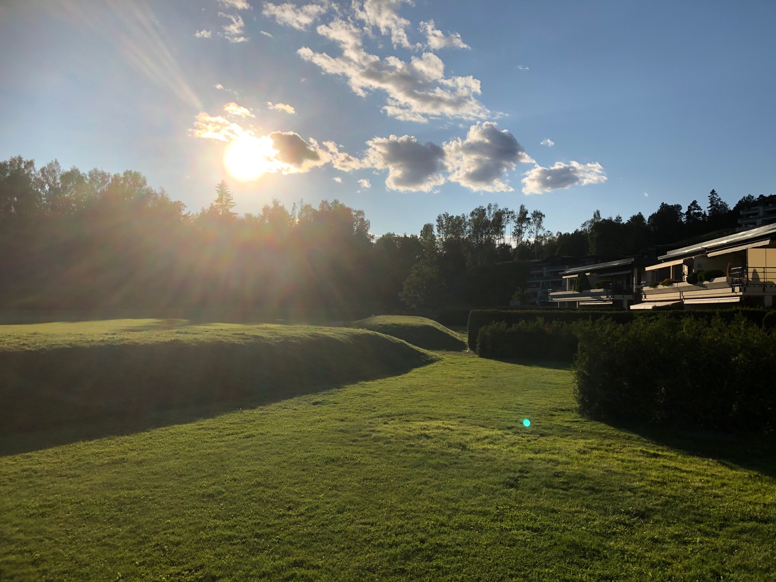 Kveldssola fra terrassen Galleribilde