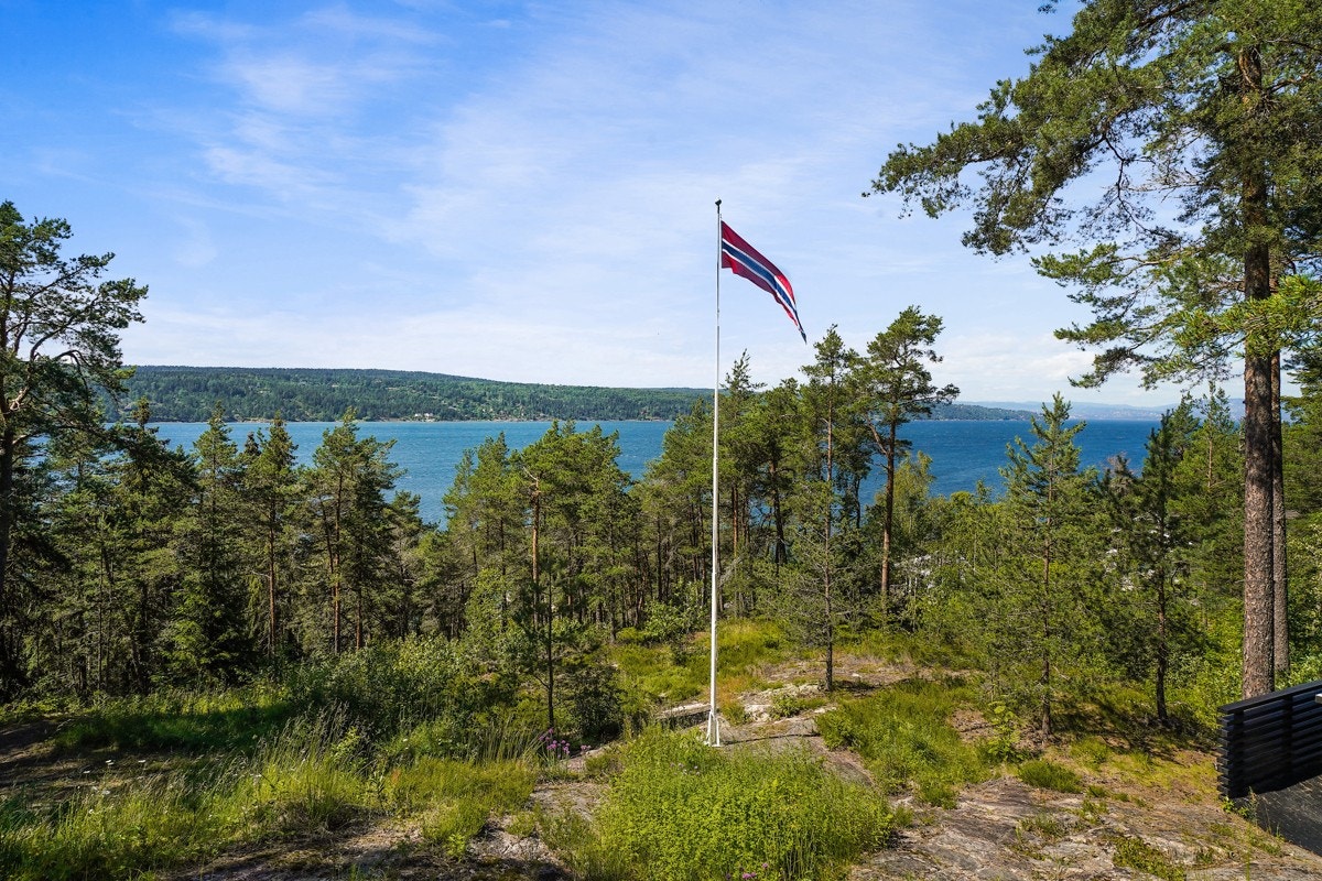 Flaggstang på tomten. Galleribilde