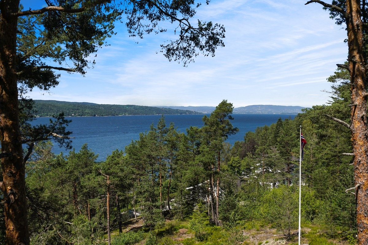 Utsikt. Galleribilde