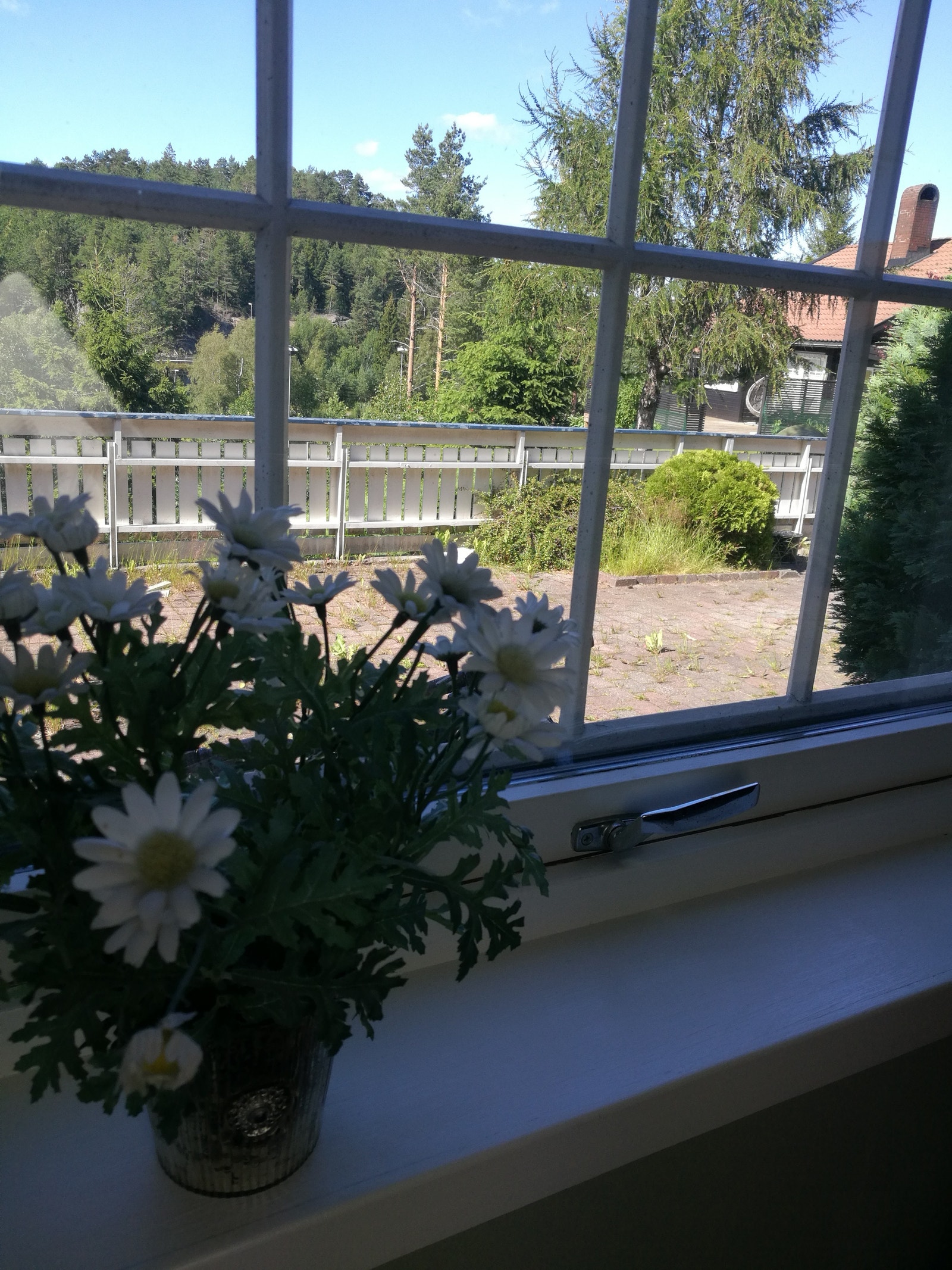 Utsikt fra stuevindu Galleribilde