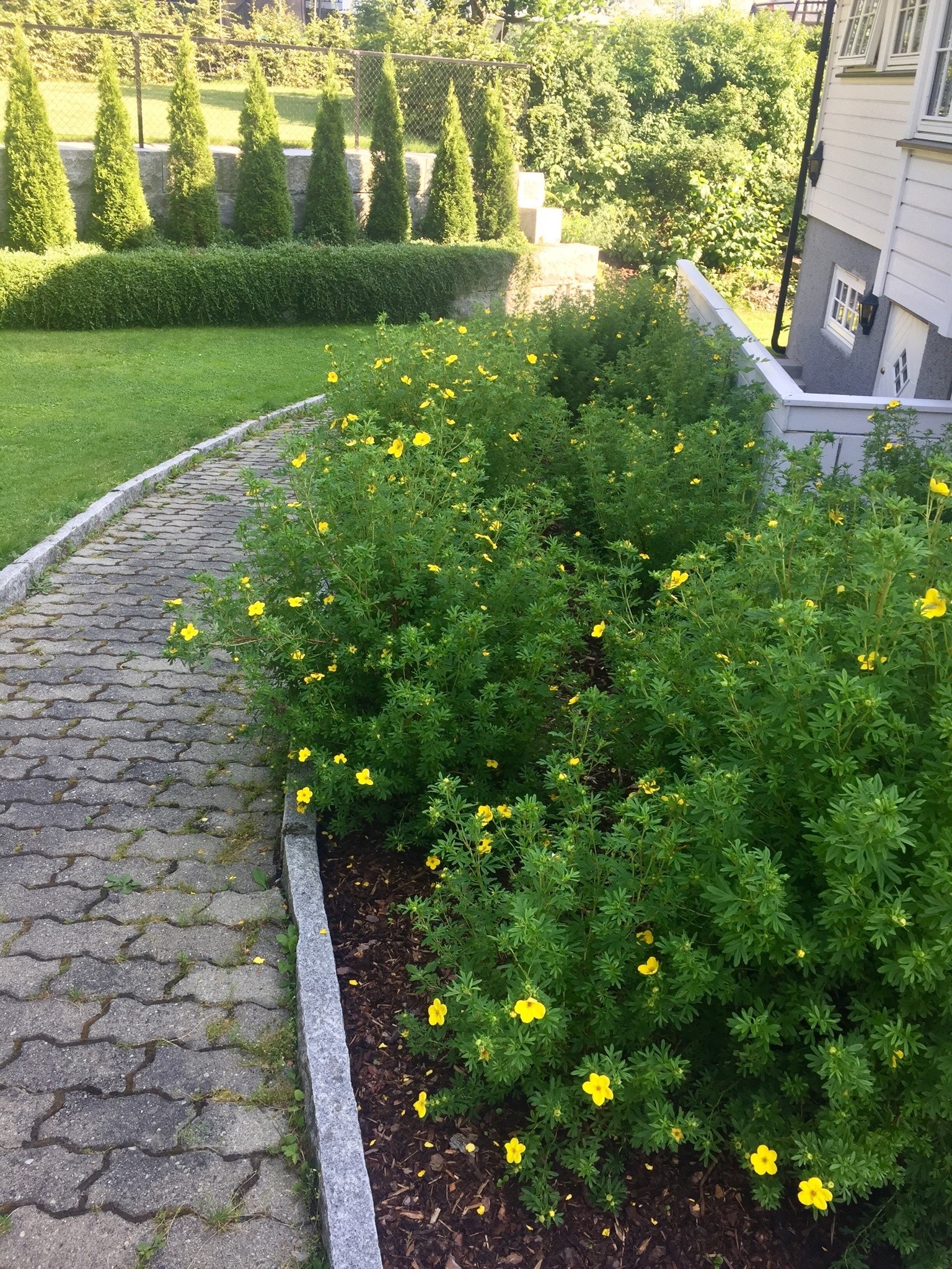 Hyggelig gangvei ned til hybel med egen inngang på baksiden av huset Galleribilde