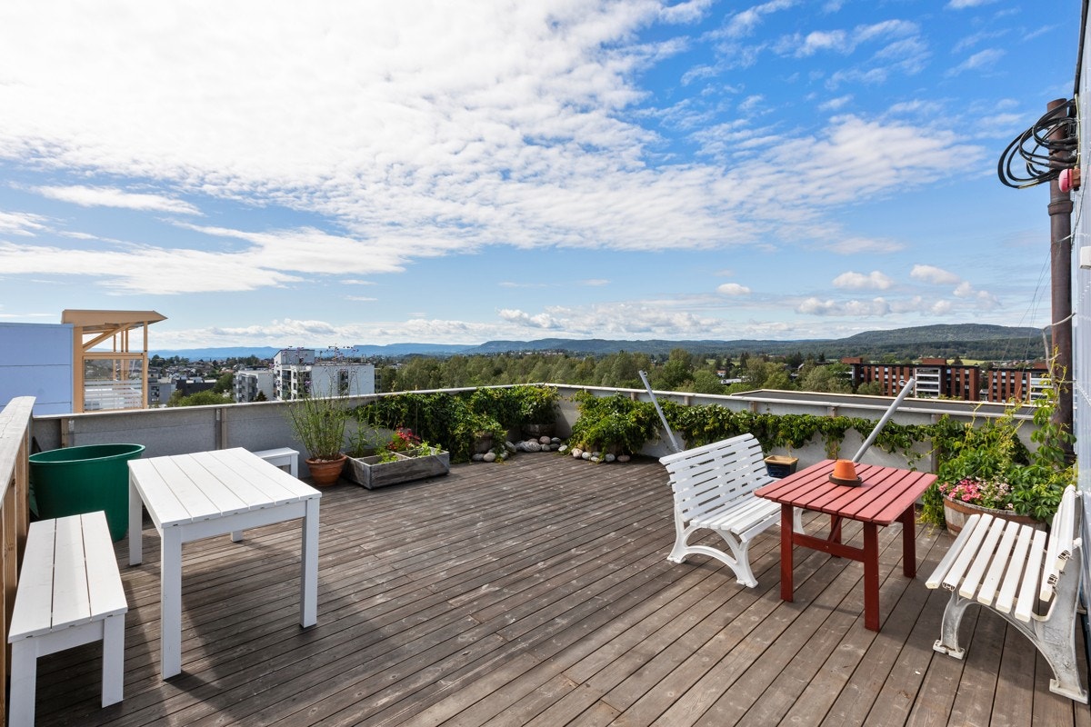 Herlig, felles takterrasse med nyoljet gulv, nye bord og benker, hengekøyestativ m.m. Galleribilde