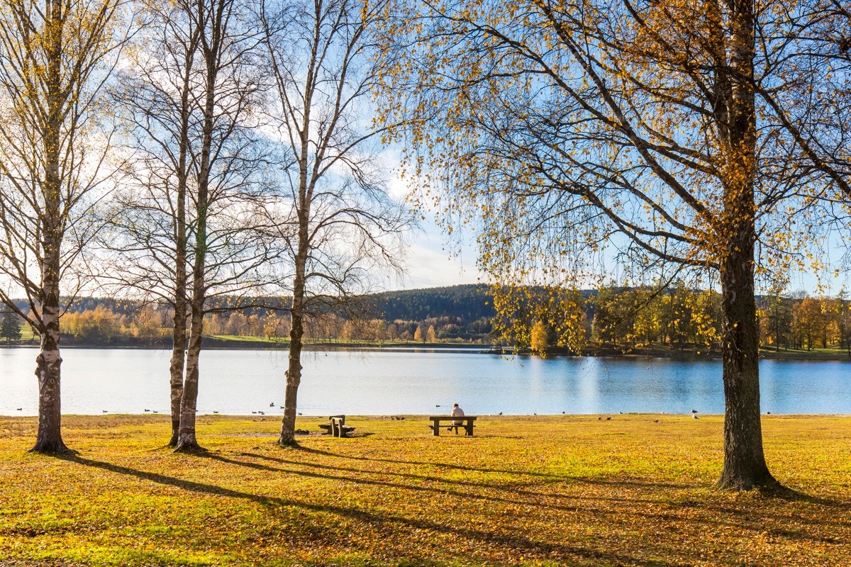 Ved Bogstadvannet, som er en hyggelig gåtur unna, finnes det flotte rekreasjonsmuligheter både sommer og vinter Galleribilde