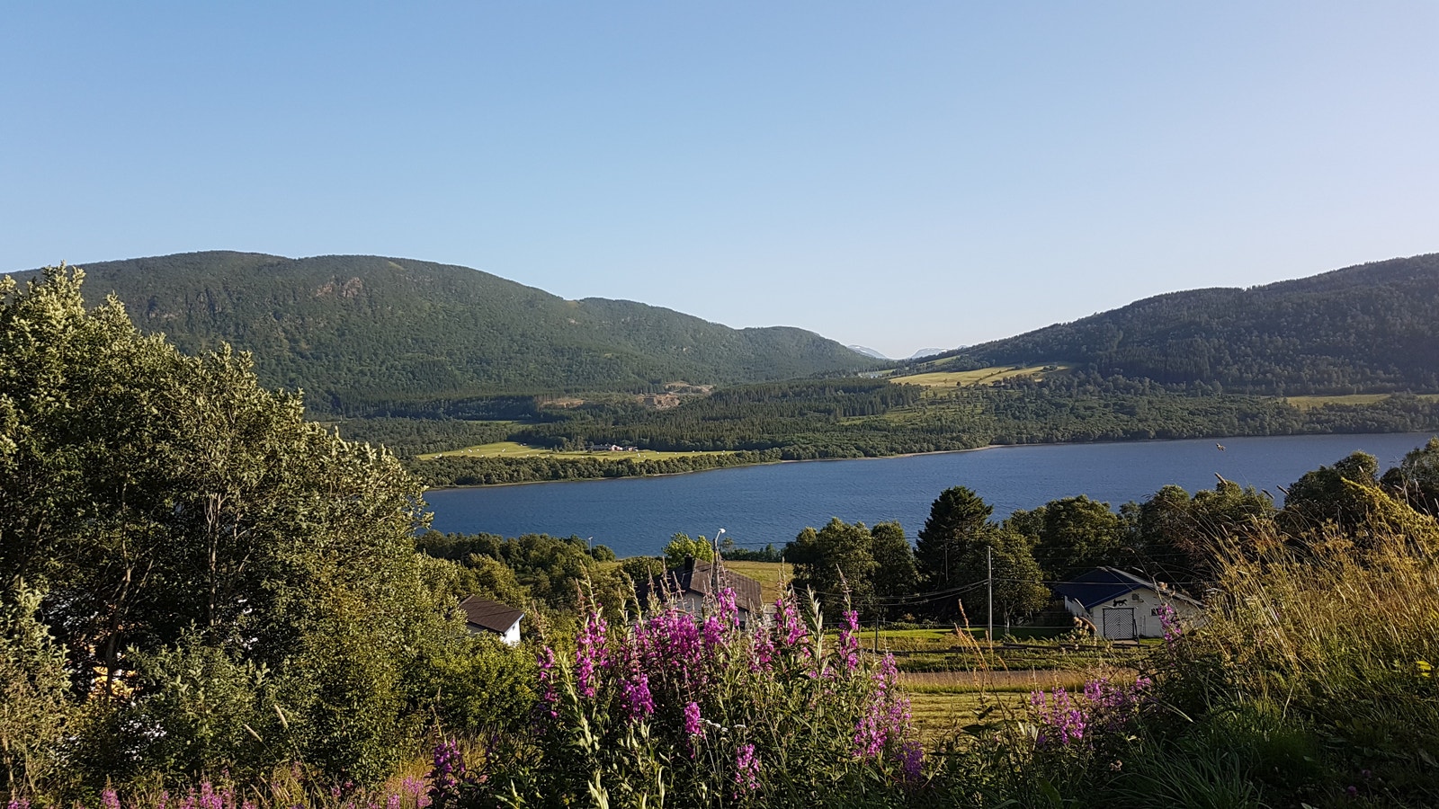 Nydelig utsikt over Møkkelandsvannet. Galleribilde