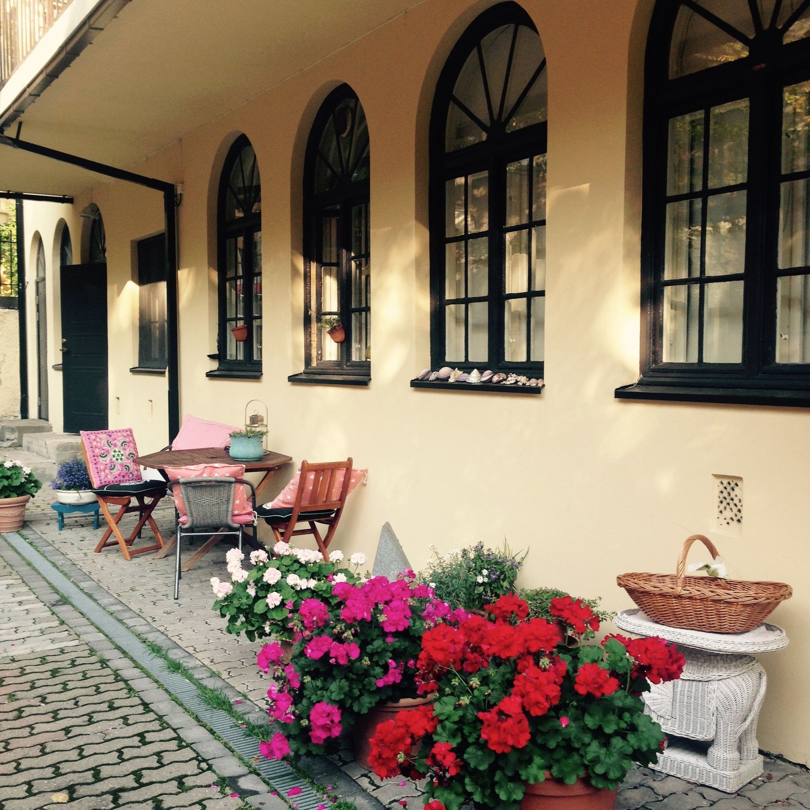 Her er det nok med areal å boltre seg på! Galleribilde