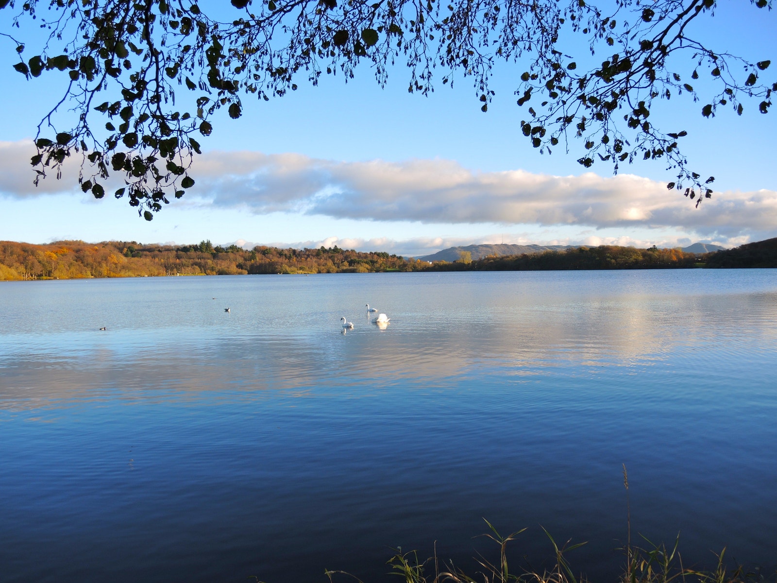 A jogging and bike trail starts outside your door and leads to the beautiful "Mosvatnet". Mosvatnet lake and Vålandsskogen forest are the most popular areas for hiking in Stavanger. Galleribilde