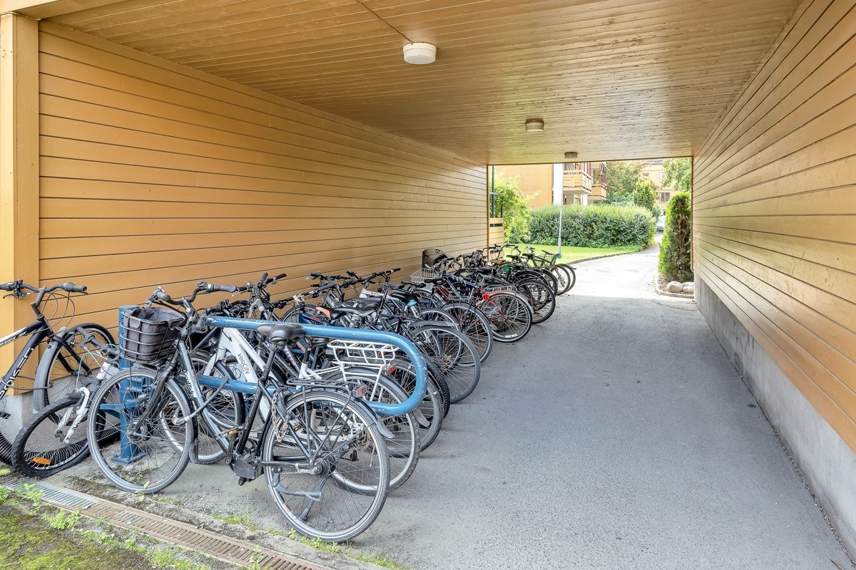 Inngangsparti med sykkelstativ. Galleribilde