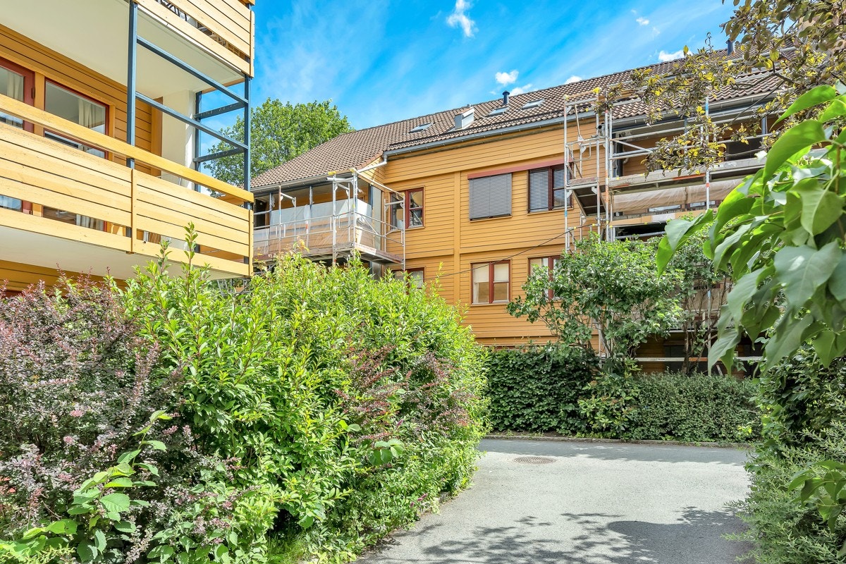 Pent opparbeidet med asfalterte gangveier og diverse beplantning. Galleribilde