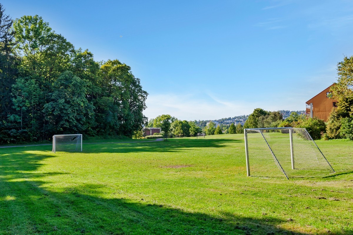 Nærområde. Galleribilde