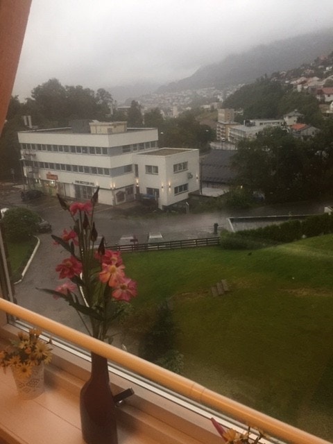 fint utsikt fra kjøkkenet Galleribilde