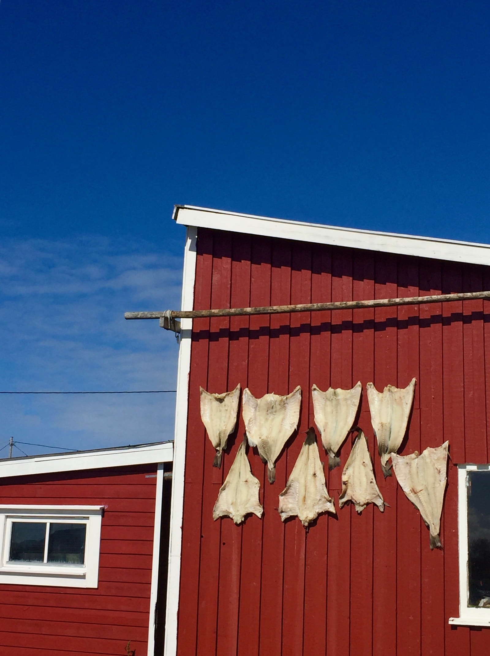 Klippefisk Galleribilde