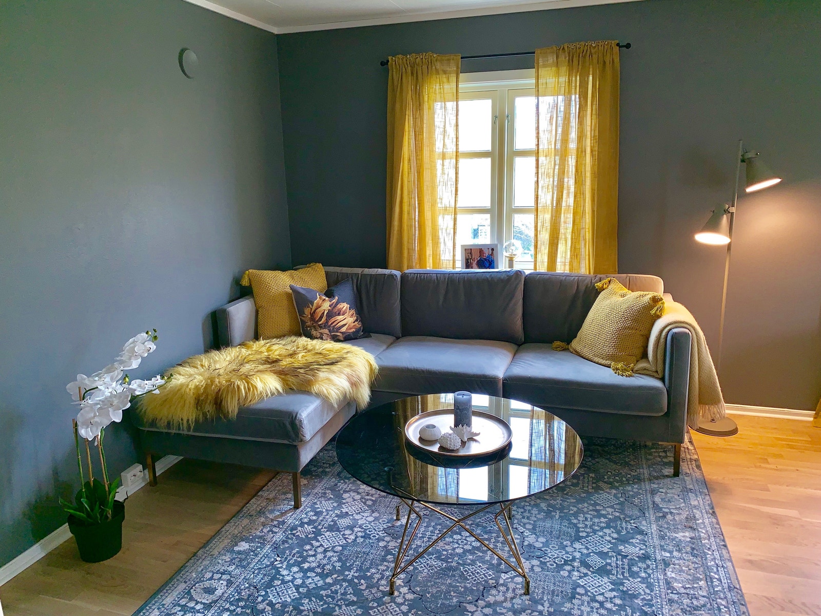 TV-kroken Galleribilde