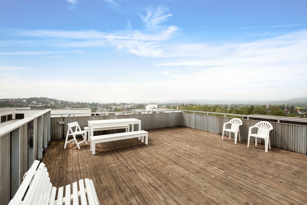 Felles takterrasse. Galleribilde