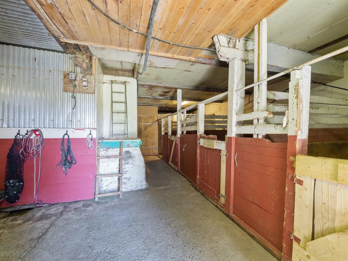 Stall Galleribilde