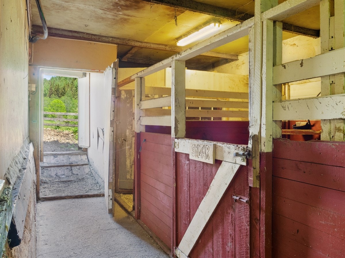 Stall Galleribilde