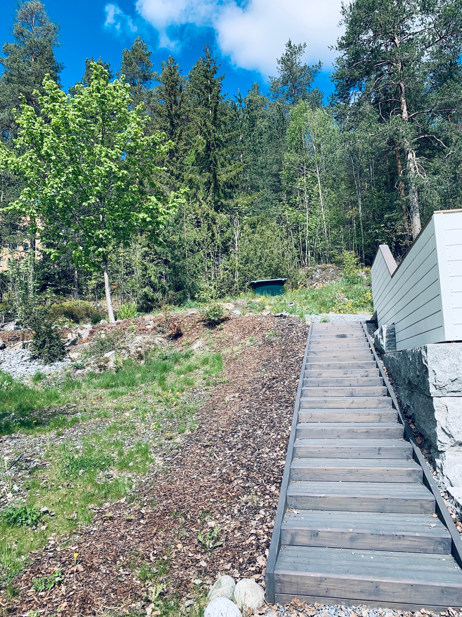 Skog og turstier rett bak huset Galleribilde