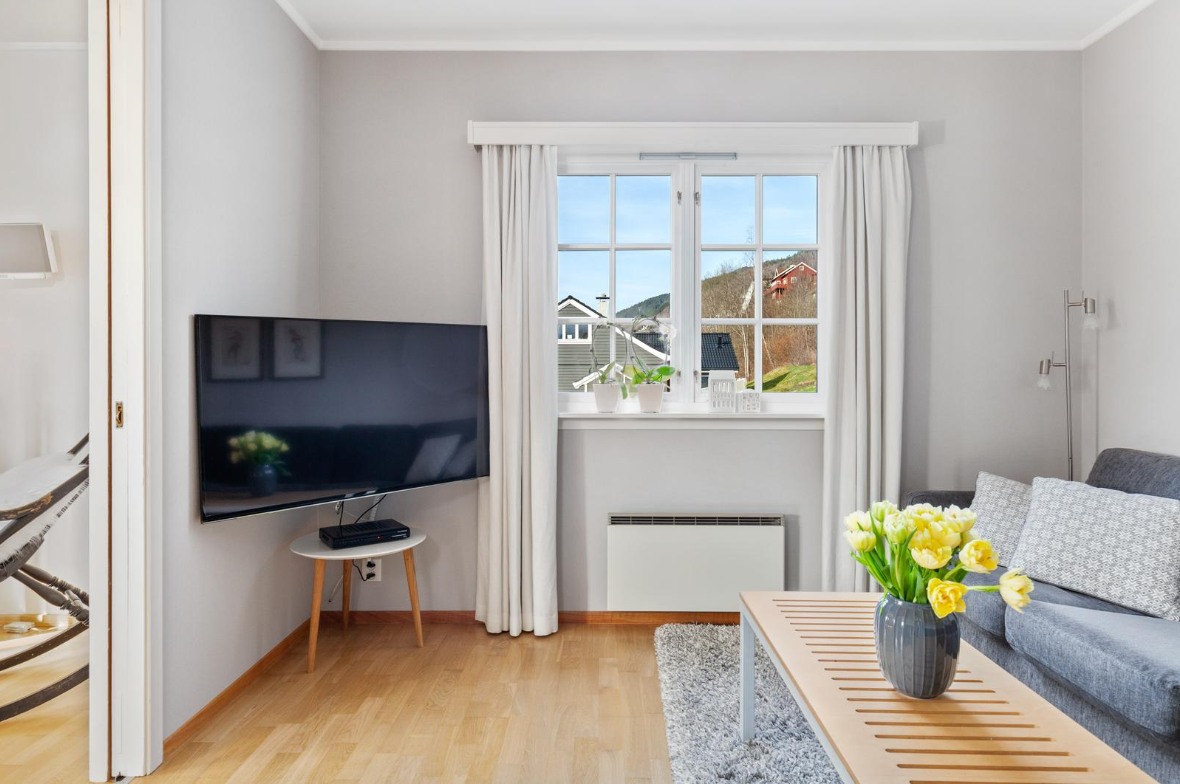 Stove/tv rom Galleribilde