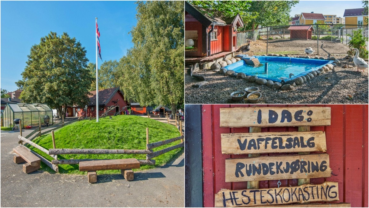 Bydelen byr også på noe for de små. På Kampens Barnebondegård kan barna hilse på blant annet hester, sauer, minigriser, ender og kaniner. Galleribilde