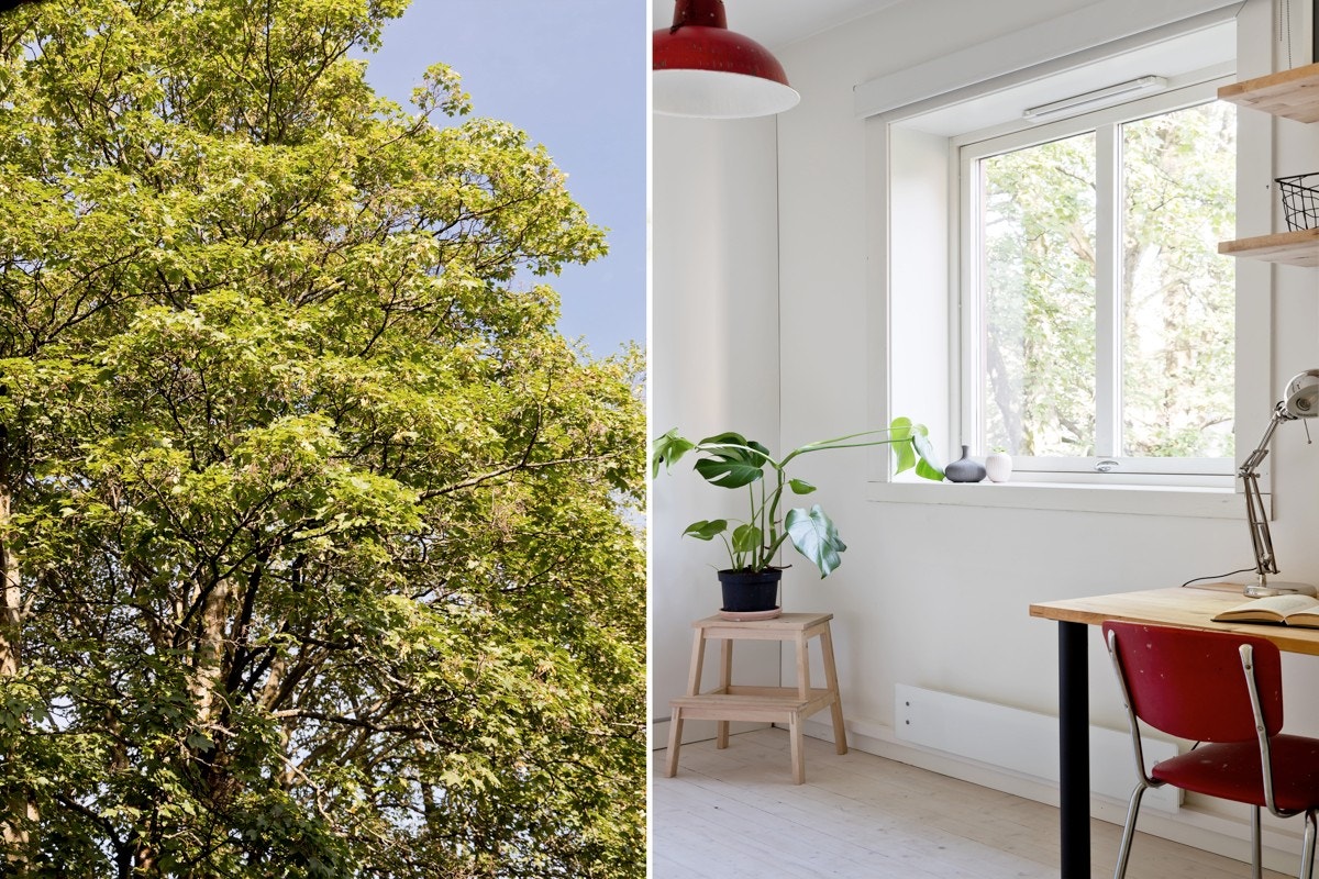 Det er også plass til ett frittstående garderobeskap. Vinduet vender ut mot den rolige bakgården. Galleribilde