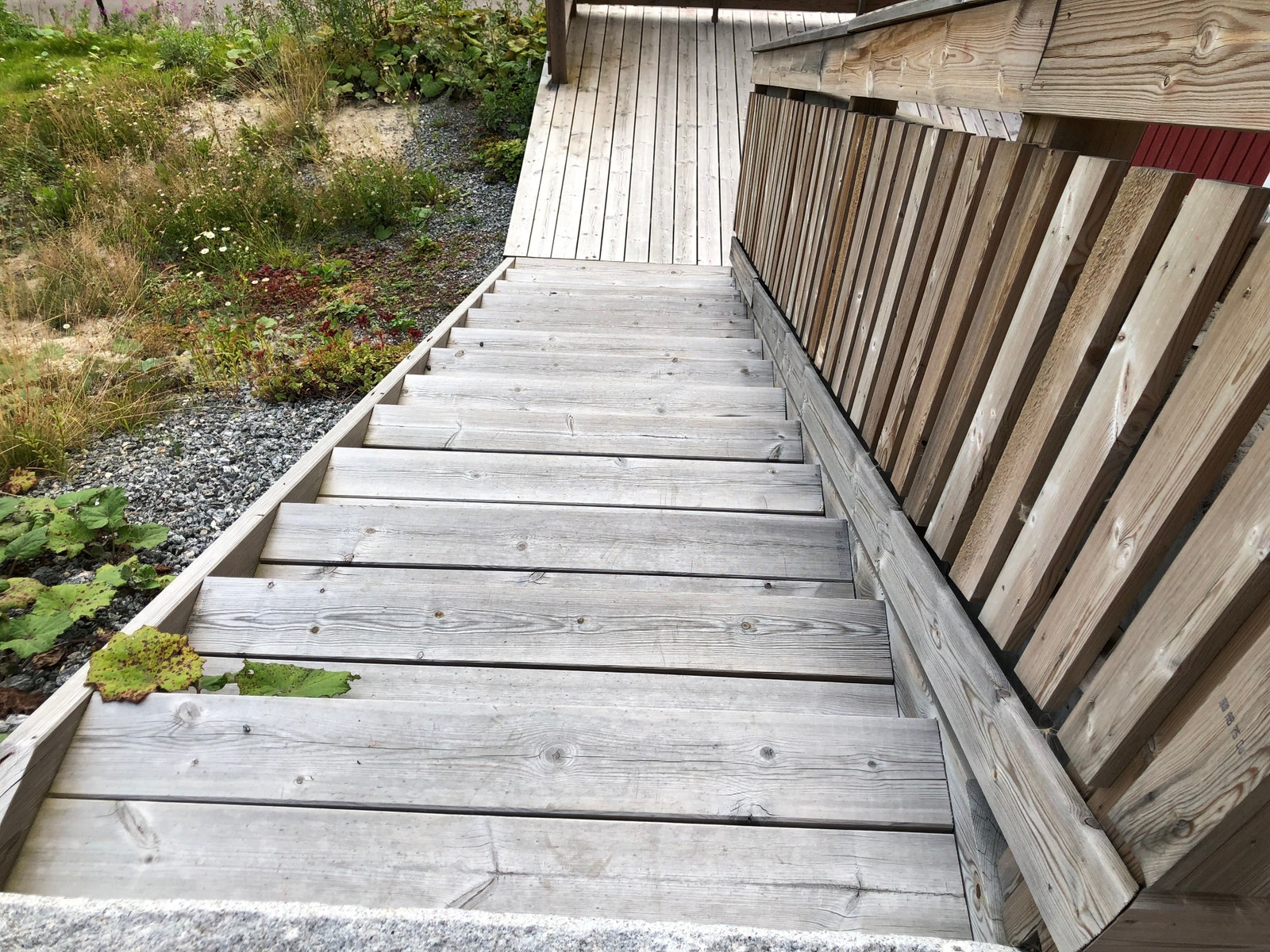 Trapper Galleribilde