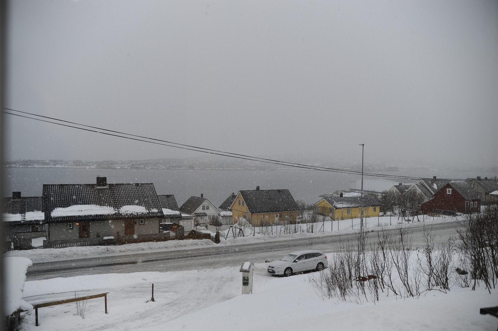 Utsikt. Galleribilde