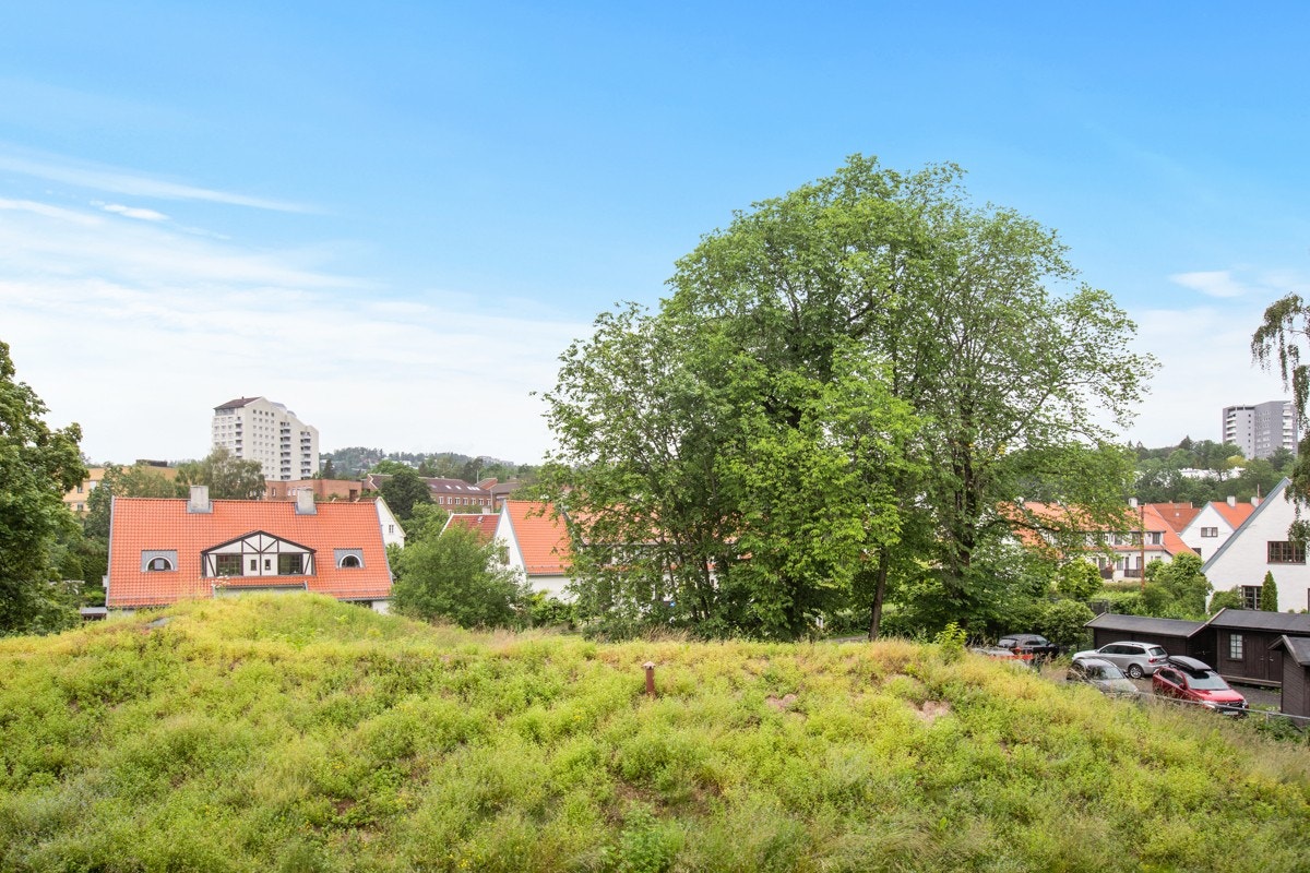 Hyggelig utsyn fra terrassen. Galleribilde