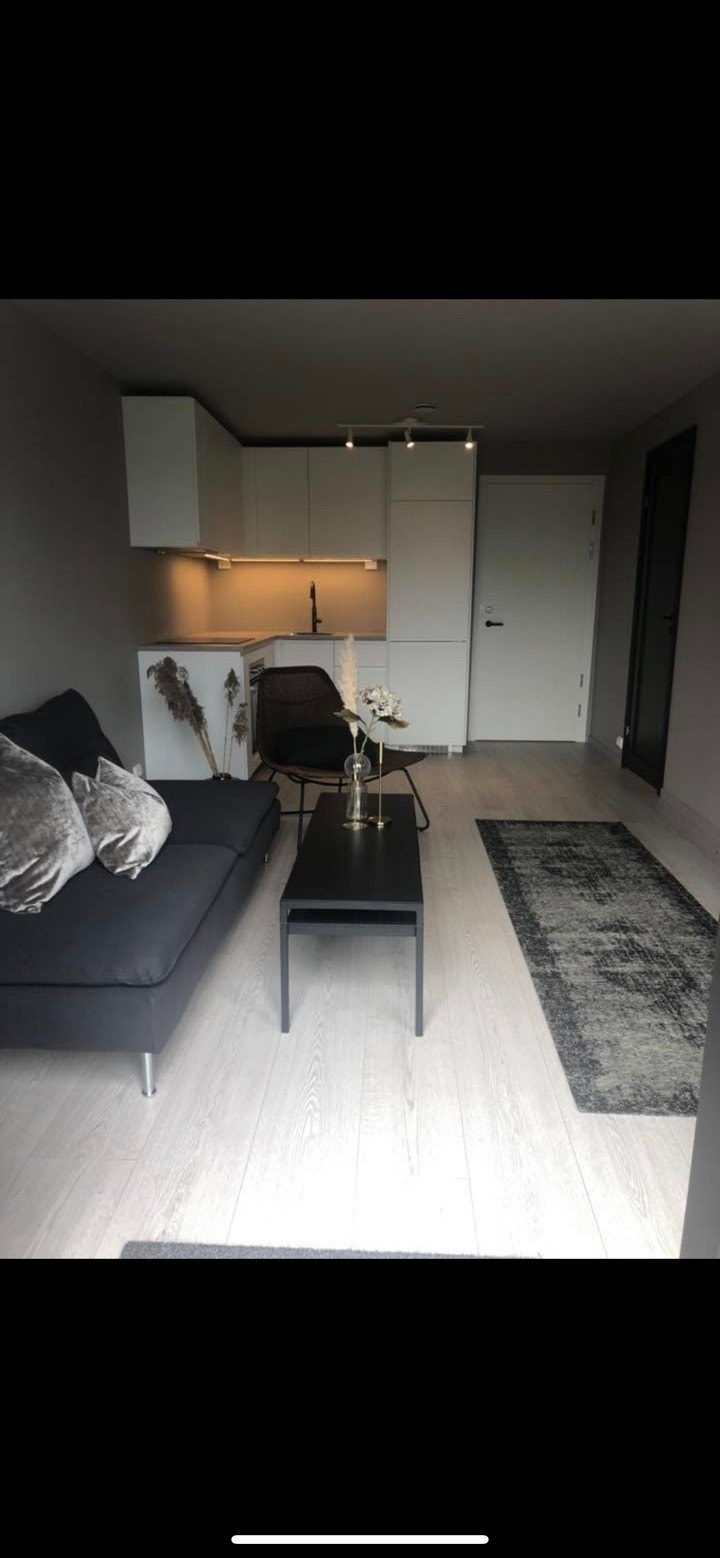 Stue/kjøkken Galleribilde