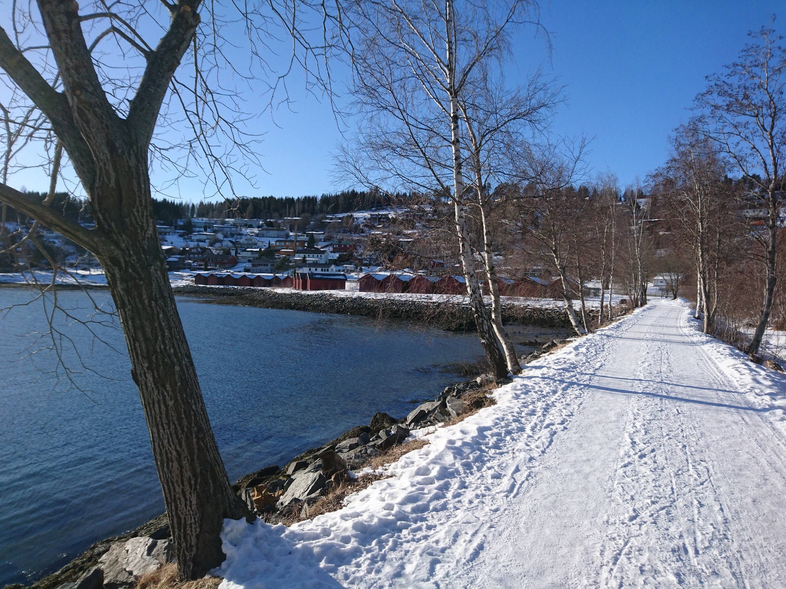 Elvepromenaden med utsikt mot Bogen. Galleribilde