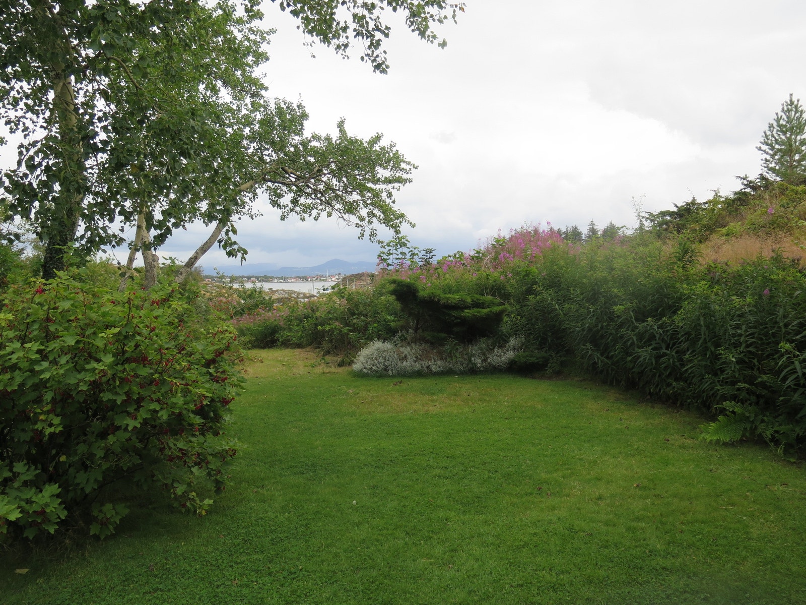 Hagen med utsikt Galleribilde