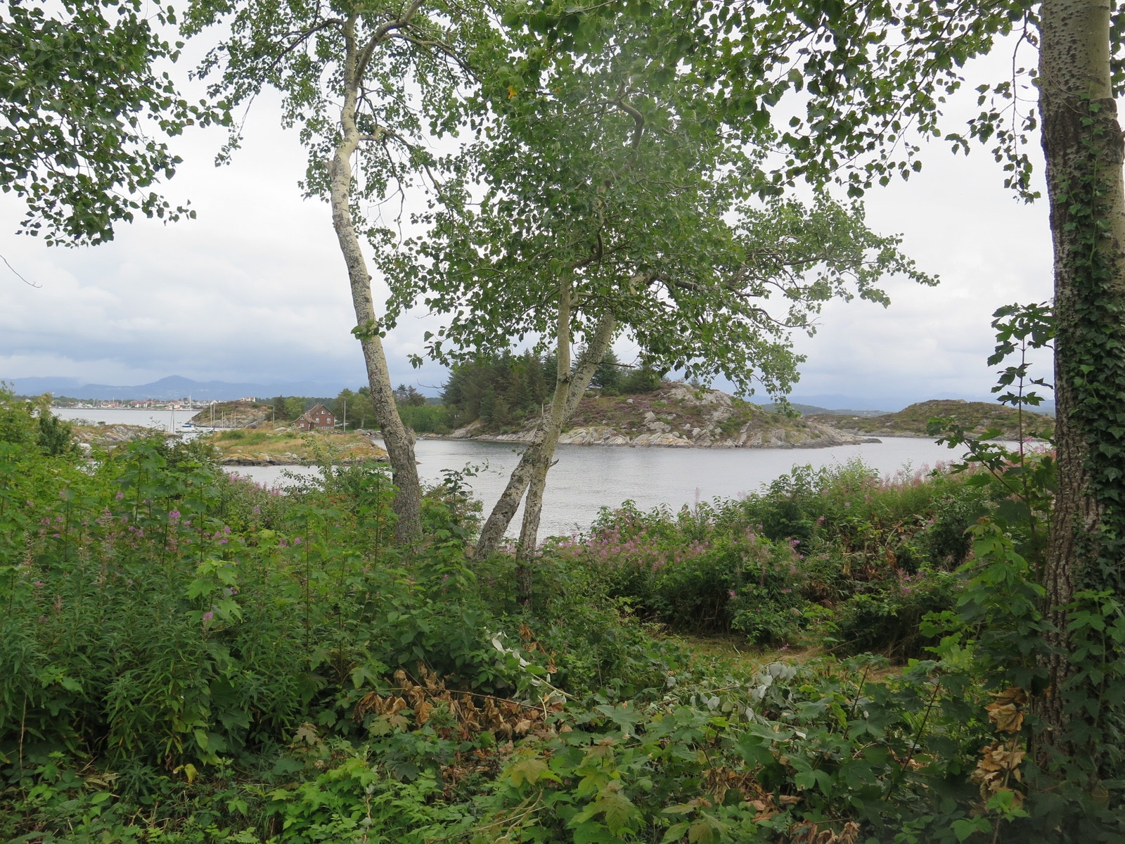 Rett bak huset = friområde Galleribilde