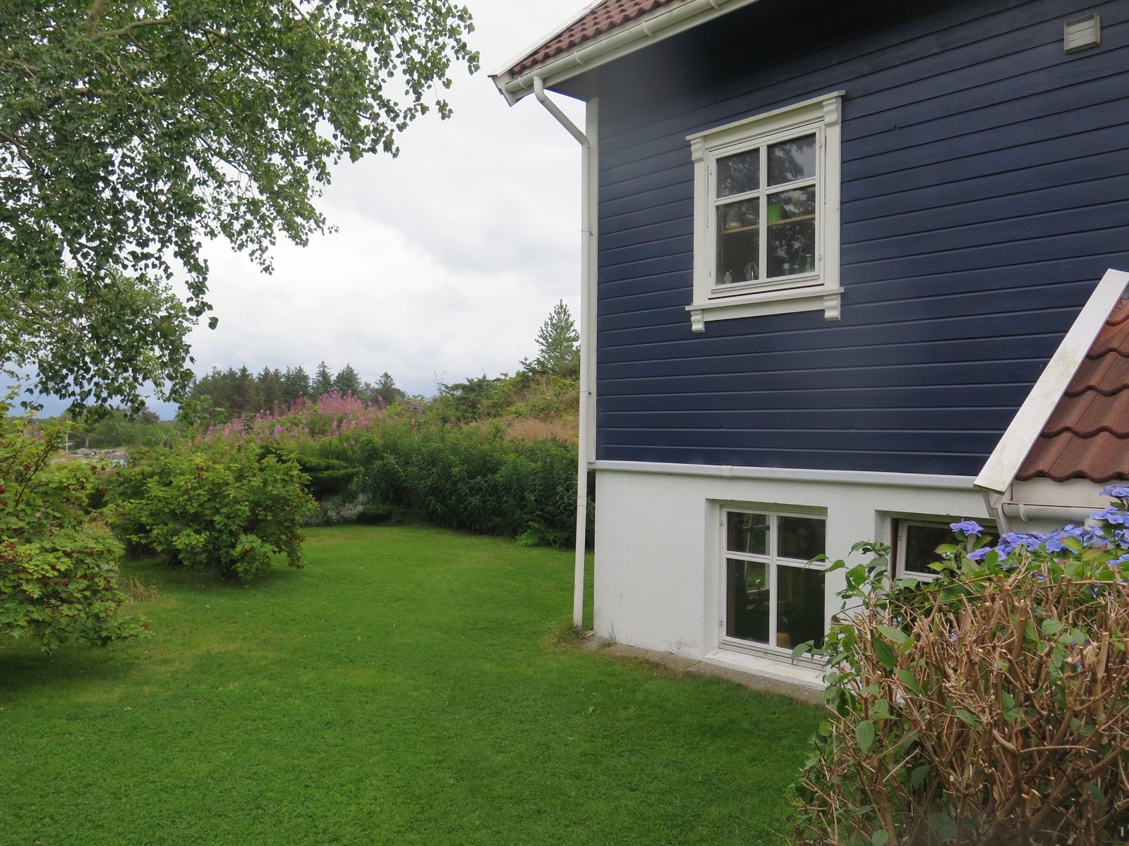 sokkelleiligheten (den hvite delen) og hagen Galleribilde