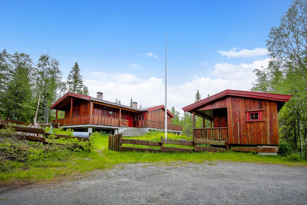 Ringkollen / Kolltjern - Velholdt hytte i naturskjønne omgivelser