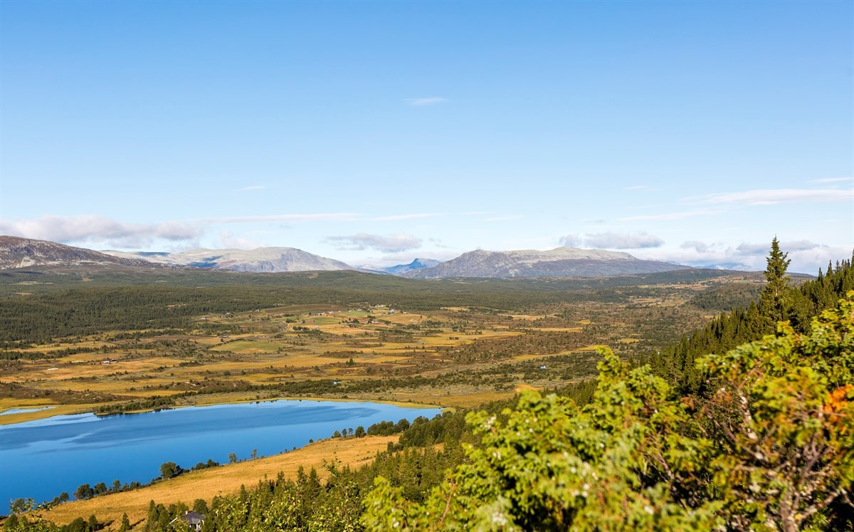 Fra tomten er det fantastisk utsikt mot Vasetvannet, Grønsennknippa og område rundt