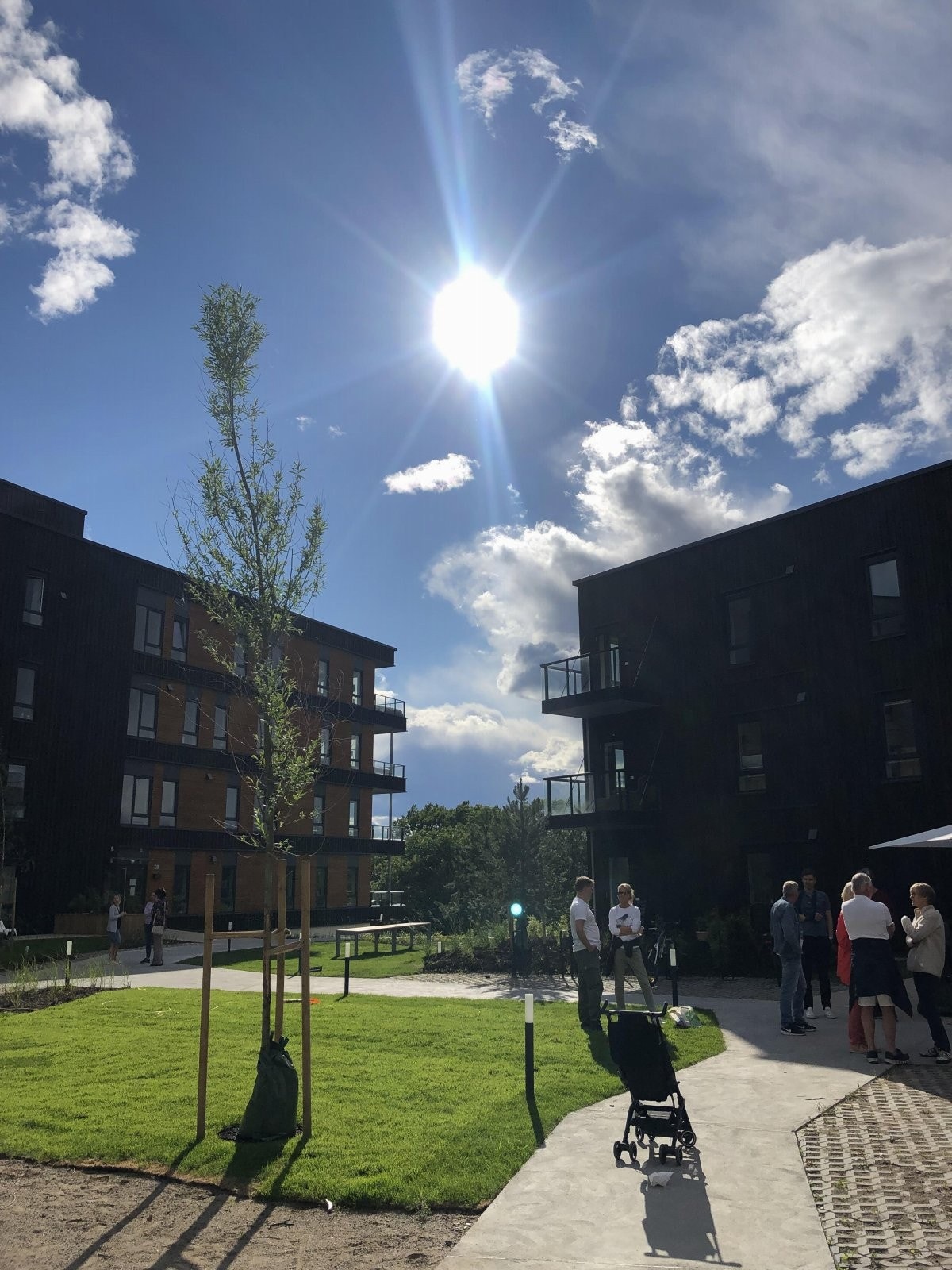 Grøntområder utenfor Galleribilde