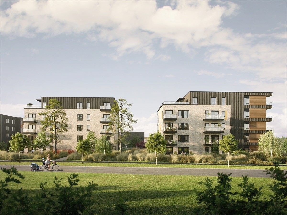 Fine grøntområder Galleribilde