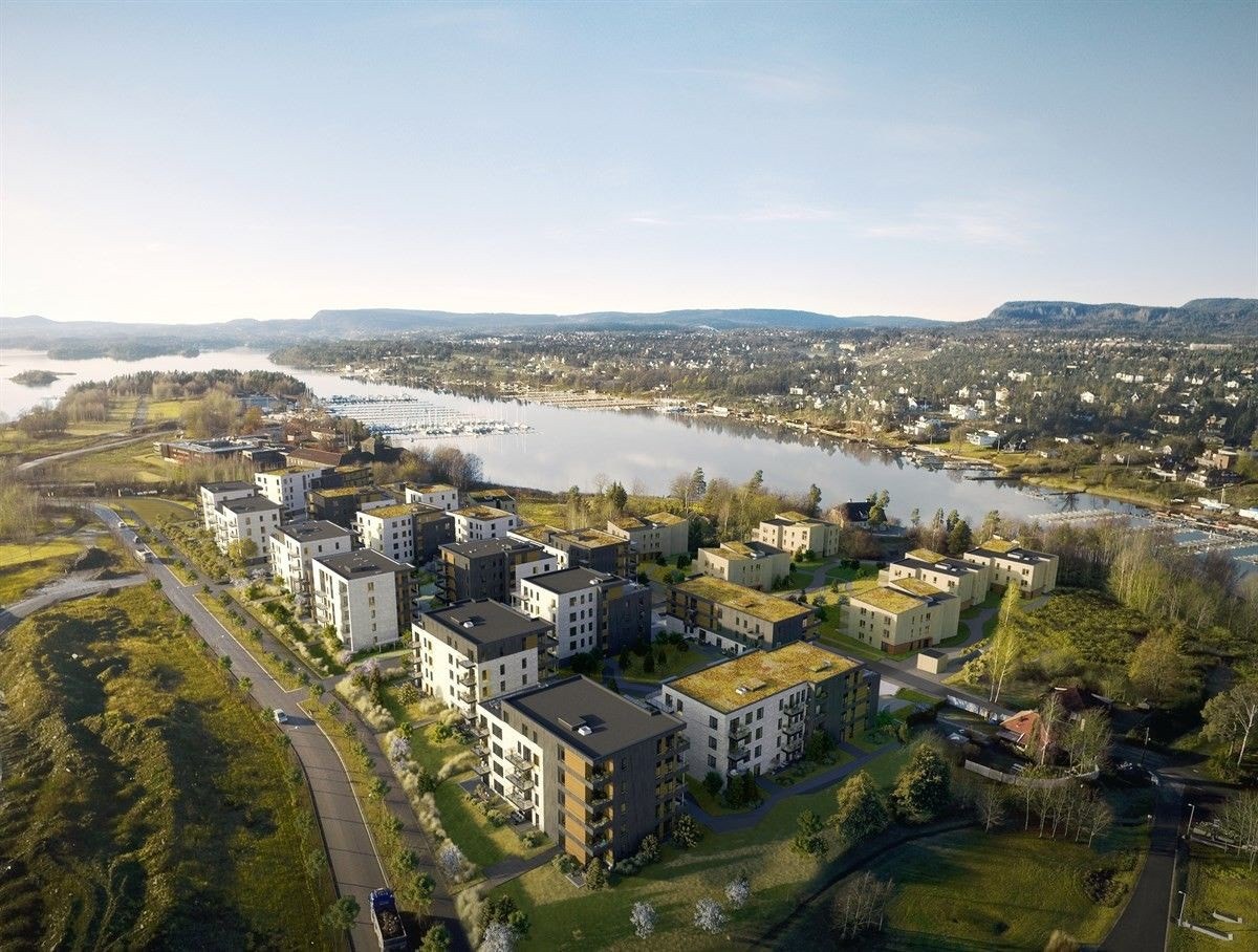 Sjønært Galleribilde