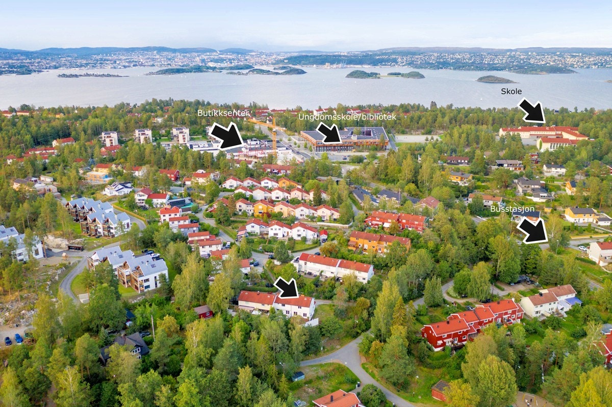 Dronebilde - Område Galleribilde