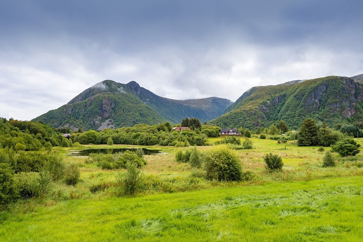 Utsikt mot flott natur Galleribilde