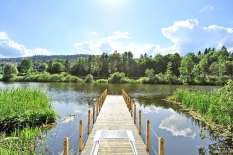 Badebrygge i Bondivann Galleribilde